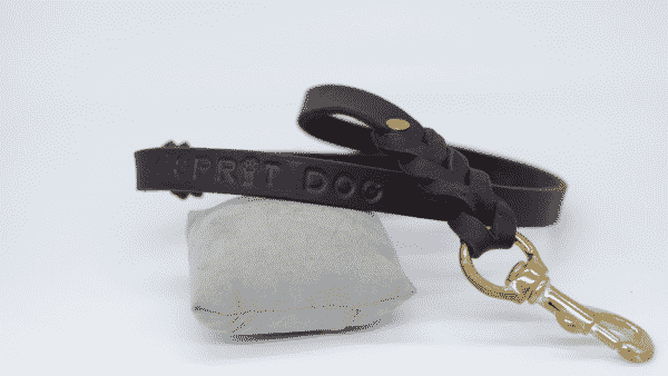 Laisse tressée Esprit Dog