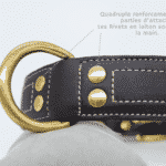 Collier Esprit Dog