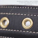 Collier Esprit Dog