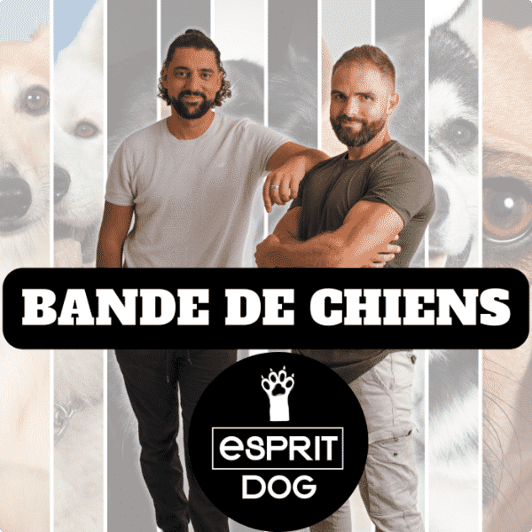 Épisode 07 - Le rappel