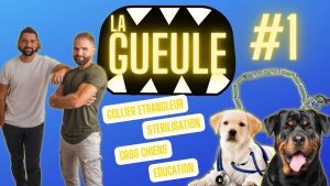 La Gueule #1 - Collier ETRANGLEUR, gros chiens et stérilisation
