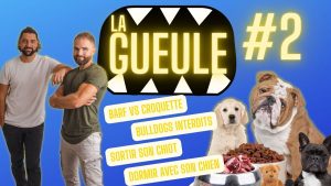La Gueule ! #2 BARF Vs Croquettes - Bulldog Anglais interdits - Chiens – Chiots