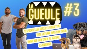 La Gueule ! #3 Nouvelles races - Hypertype - Enterré avec son chien