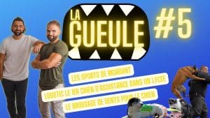 La Gueule ! #5 Les sports de mordant - Brosser les dents de son chien