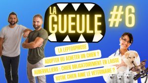 La Gueule ! #6 Adopter ou acheter un chien ? - La leptospirose