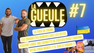 La Gueule ! #7 Les croquettes pour chiens vendues chez les vétérinaires - La toux de chenil