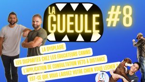 La Gueule ! #8 Les disparités chez les éducateurs canins - La dysplasie chez le chien