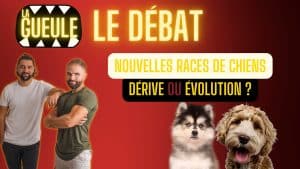 Nouvelles races de chiens : dérive ou évolution ?
